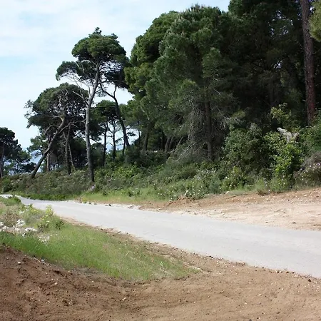 By The Sea Cove Saplunara, Mljet - 4896